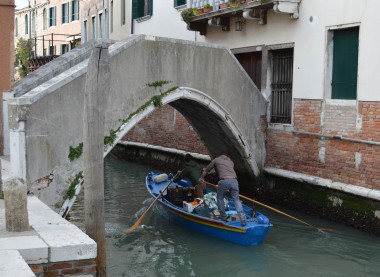 Rowing under the bridge